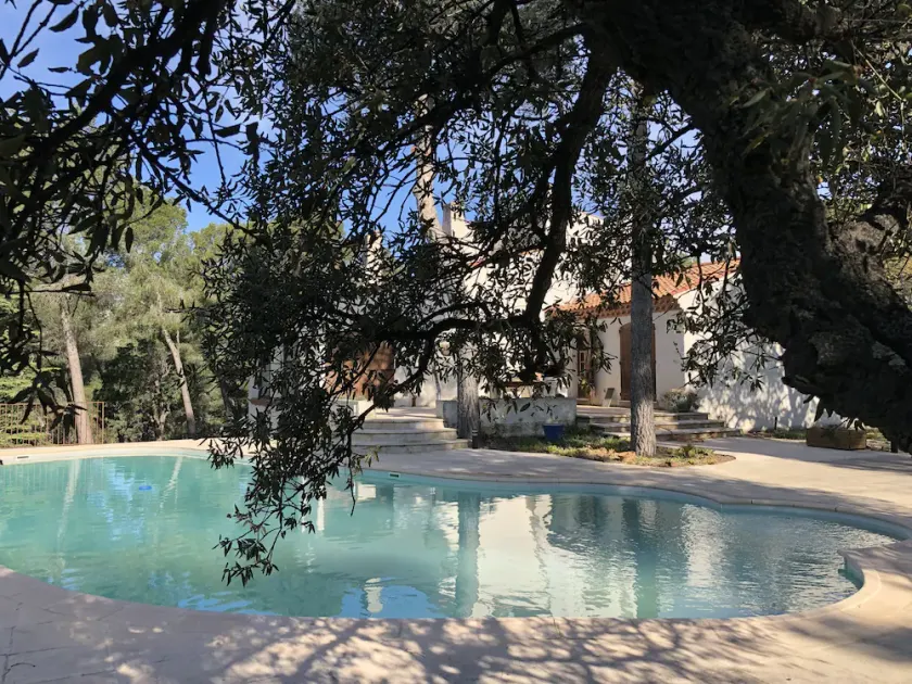 Villa surrounded by nature, cicadas and pine trees - Image 1