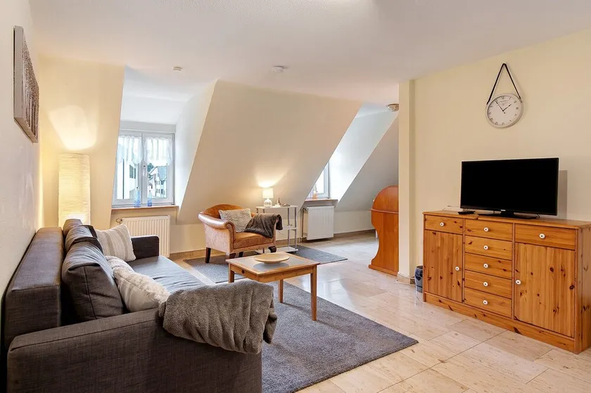 Holiday Apartment F Bolanz 1 with Wi-Fi - Image 1
