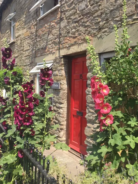 Romantic quirky cottage in Hay On Wye - Image 1