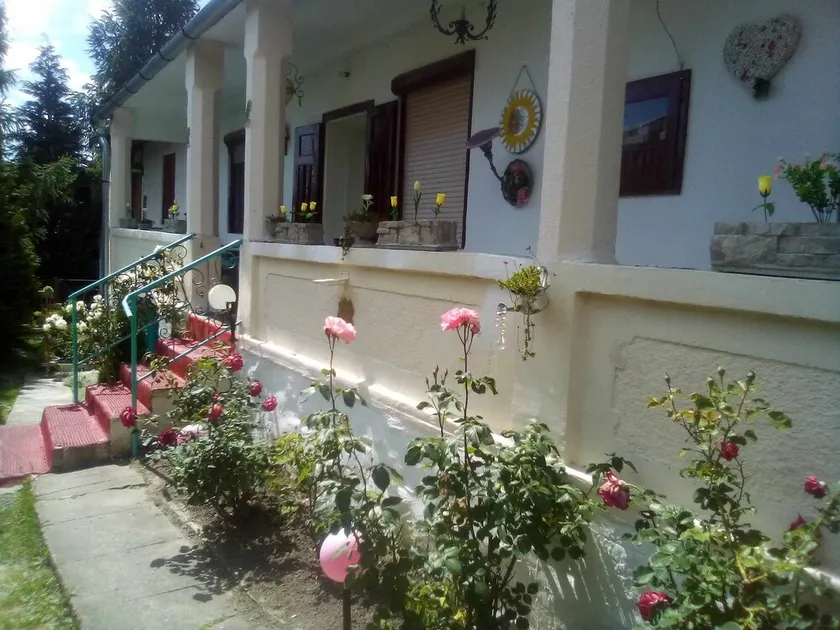 Hungarian old village guest house - Image 1