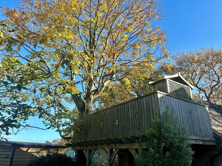 Studio & balcony with tree growing through it, spiral staircase, stunning views. - Image 1