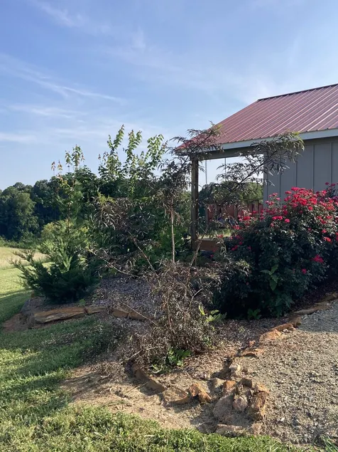 One room cabin set on our farm for a peaceful getaway. - Image 1