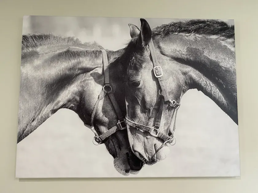 The Horse Lover - Image 1