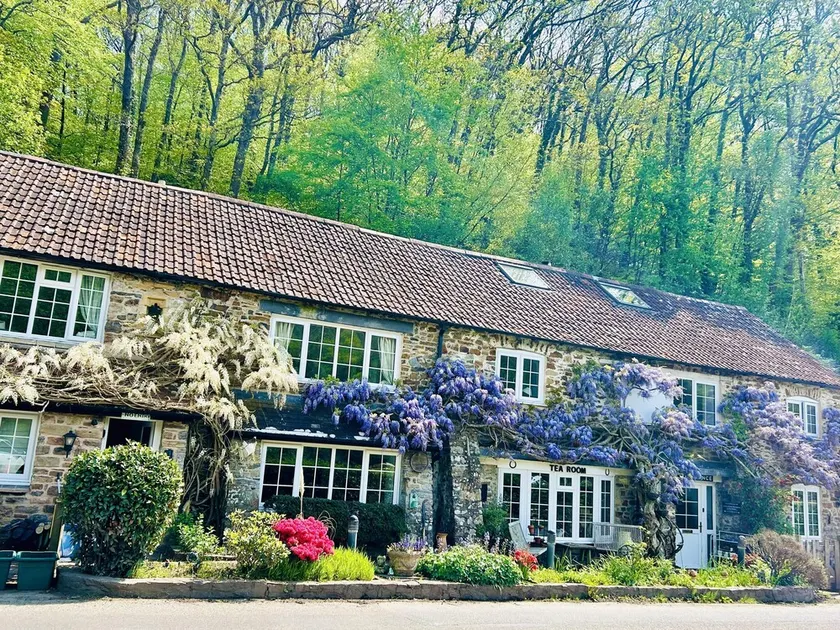 Devon 6-Bed Cottage with Country Views & Parking - Image 1