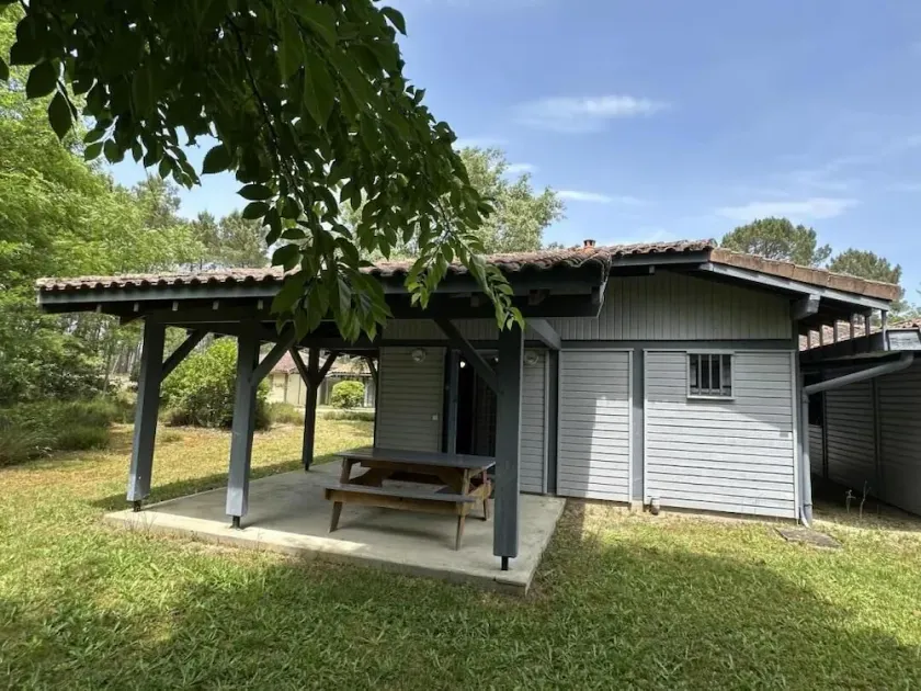 Les hélianthèmes - Image 1
