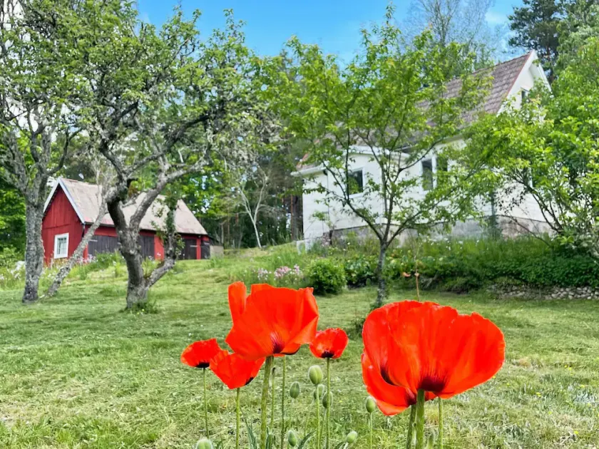 4 person holiday home in Asarum - Image 1