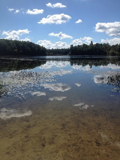 Spacious, Secluded RV On Private Lake with Own Access - Image 1