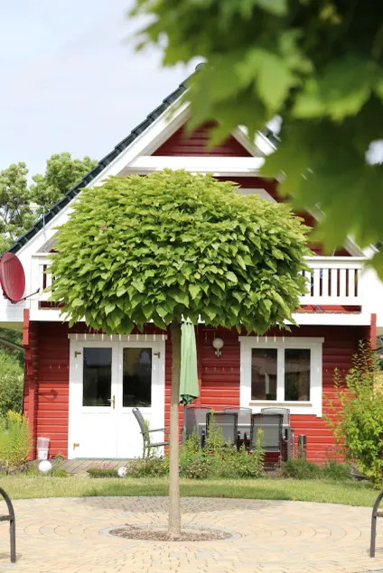 Charming vacation home, at the center of Germany for up to 8 guests. - Image 1