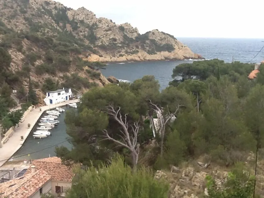 Independent apartment in villa, in the pines overlooking the sea. - Image 1