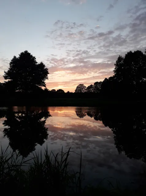 Mein Havelurlaub: Ferienhaus Havelzauber Direkt am Wasser! Natur mit Weitblick - Image 1