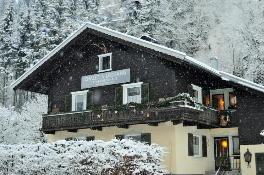 Chalet en Leogang, apartamento Birnhorn con gran espacio habitable y 2 dormitorios - Image 1
