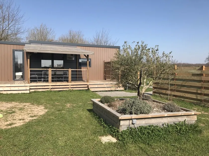 Cottage with pony near puy du fou - Image 1