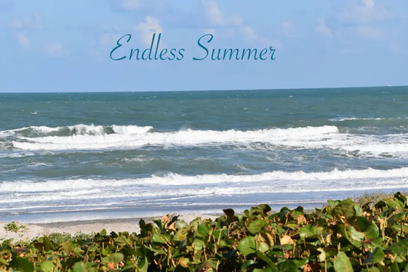 OCTOBER-NOVEMBER '26 PROMO BEACHFRONT PRISTINE PET FRIENDLY, 3 BEDROOM TOWNHOUSE - Image 1