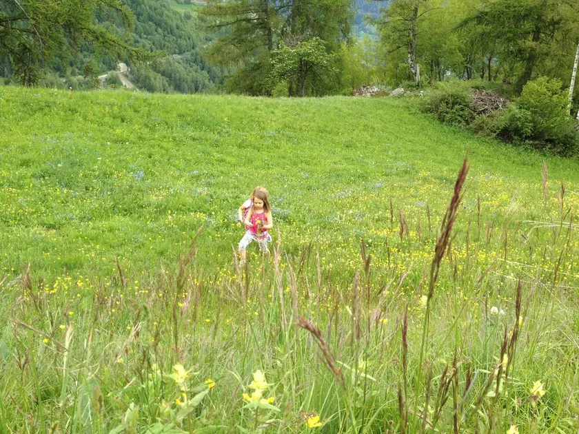 Chalet Mélèze in Mase im Val d'Hérens für 6 Personen - Image 1