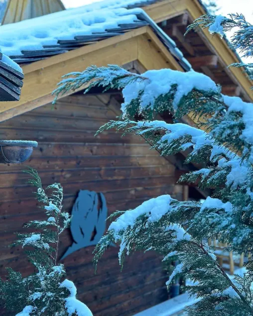 CHALET DE L'OURS with a spa, terrace, and nearby ski slopes - Image 1