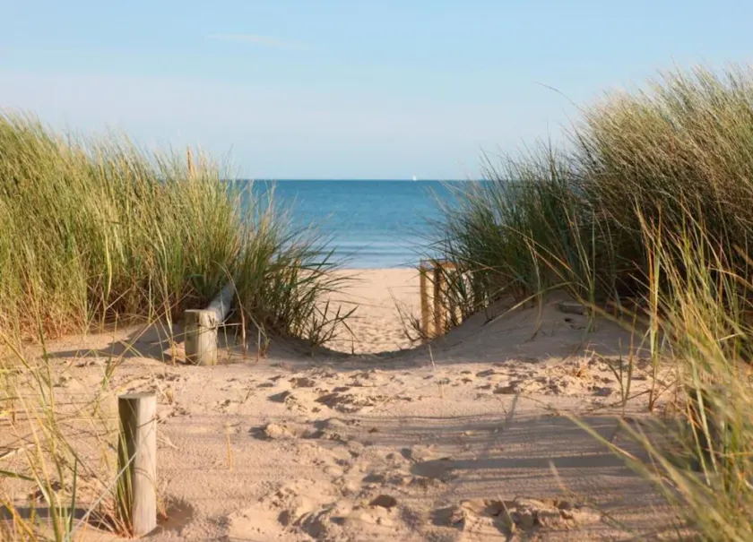 Perfect Apartment Near Dunes - Image 1
