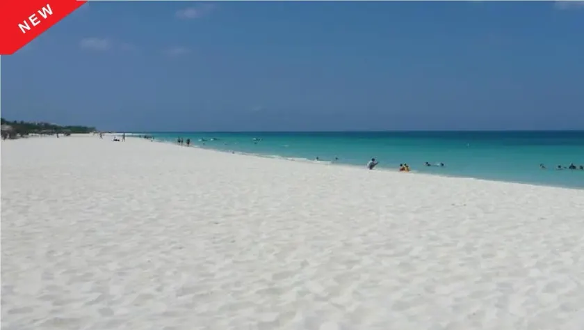 ARUBA #1 BEACH: 1+ bedr Luxury Condo,4 sleeps,Fully Equipped,All Resort Features - Image 1