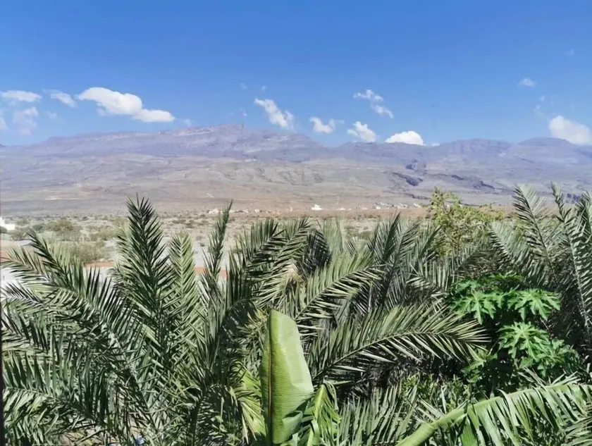 Valley Guest Villa,  7 bedrooms with private bathroom. - Image 1