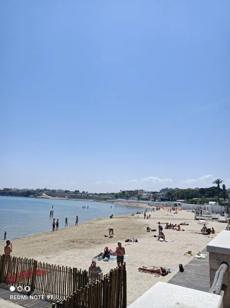 Travel and Living - Image 1