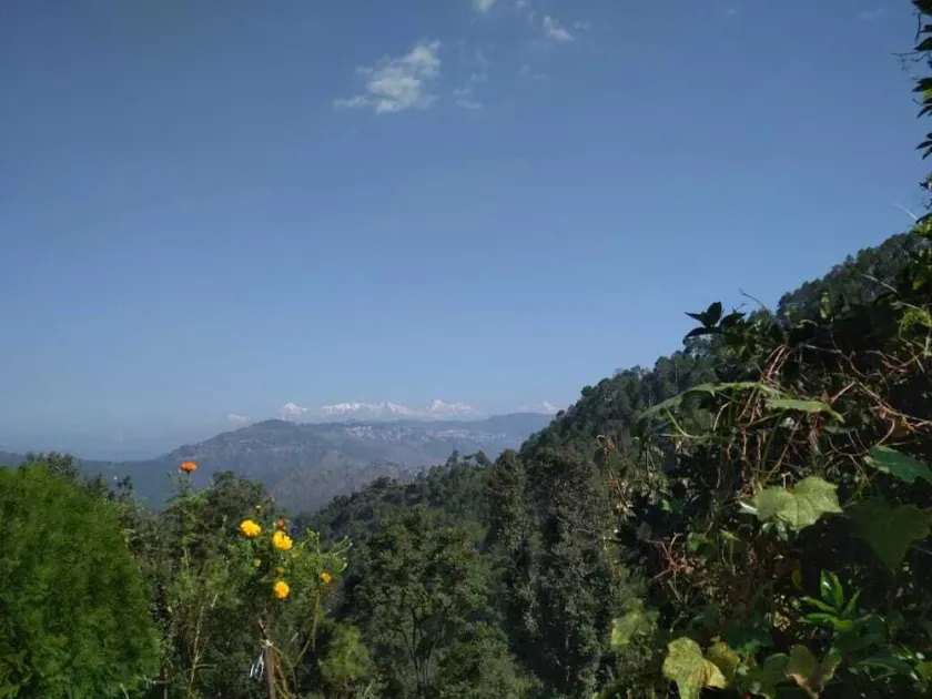 Himalaya-Ansicht, Zwitschernder Morgen - Image 1