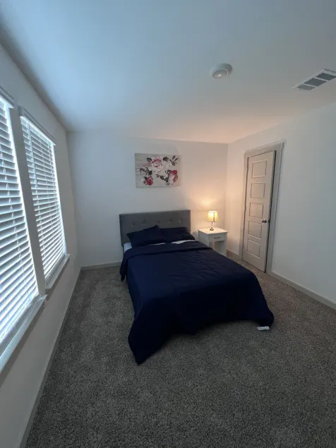 Experience luxury and comfort in Rosharon: A modern 2-story House - Image 1