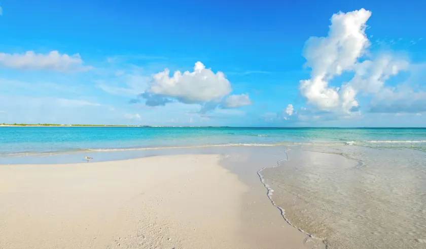 VIP Beachfront - Large & Luxurious - End Unit - Image 1