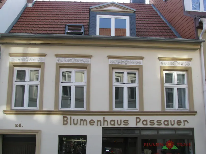 Modern vacation apartment in the middle of Greifswald's old town - Image 1