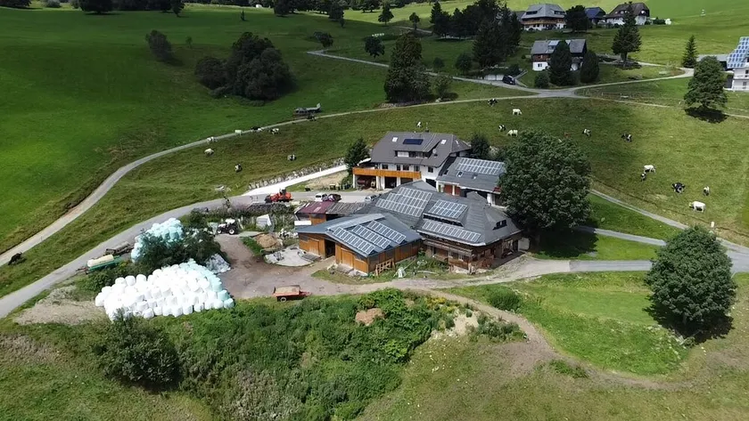 Ferienwohnung auf dem Friedlebauernhof - Image 1