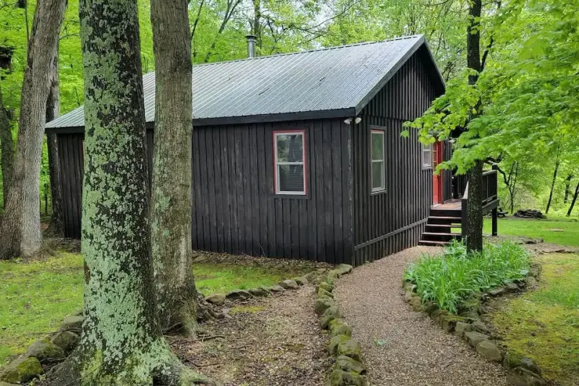 Forest Cabin #3 at Camp Because I Said I Would - Image 1