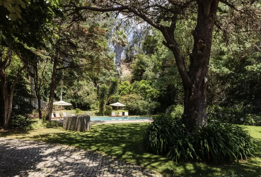 A Hideaway Paradise - Image 1