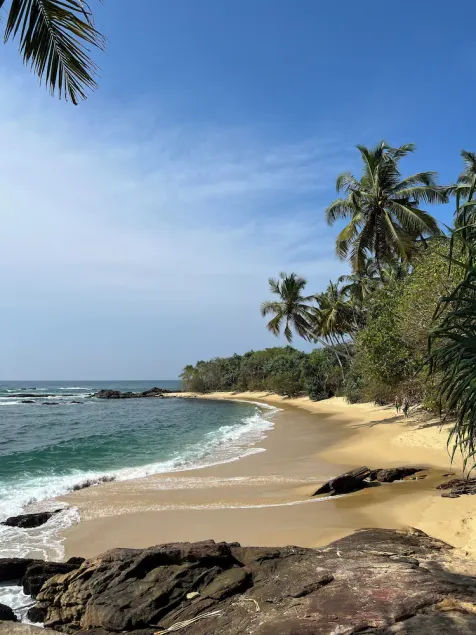 Into The Blue - Walk to 3 beaches & surf - Image 1