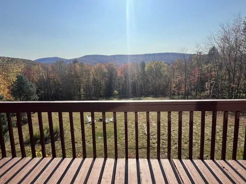 Beautiful Log Ski Cabin w/Belleayre Mtn Views - Image 1