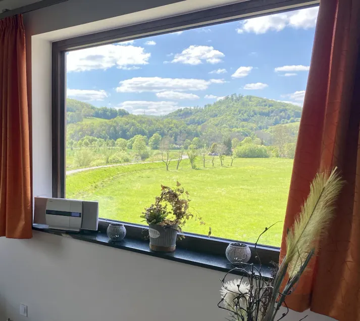 Exklusiver Blick ins Grüne - Image 1