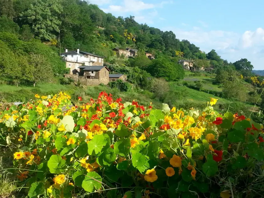In voller Ribeira Sacra - Image 1