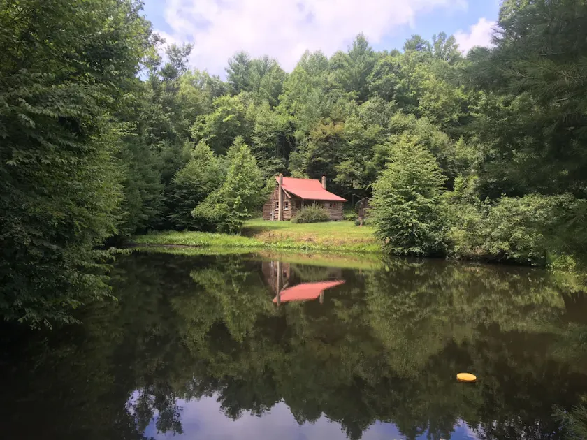 Buffalo Hollow Preserve & Cabin in the Blue Ridge Mountains Pet Friendly - Image 1