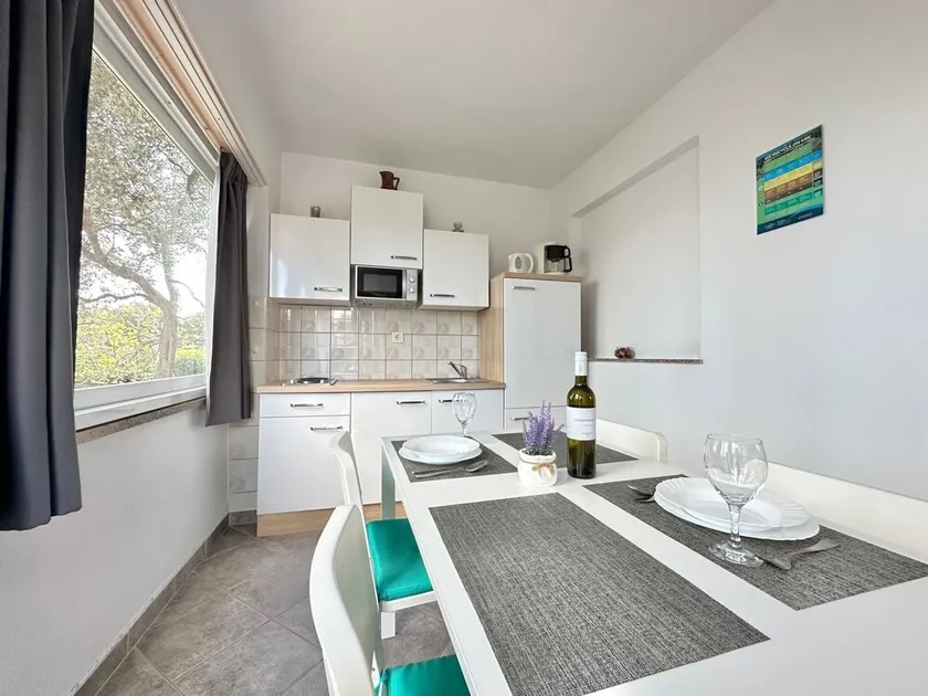 Apartment-studio Dijana °1 with air conditioning, WiFi, Barbecue, close to Beach - Image 1