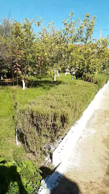 Villa di campagna a 10 minuti dal centro - Image 1