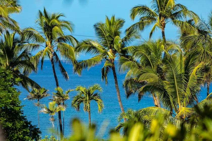 Fabulous Condo with Amazing Ocean Views - Bldg 22! Remaining Fall $250/nt! - Image 1