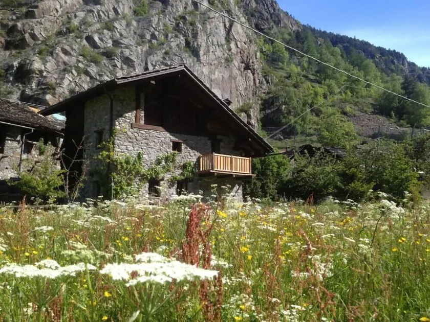 Valpelline: RENT SPLENDIDO CHALET, As peças são para toda a propriedade - Image 1