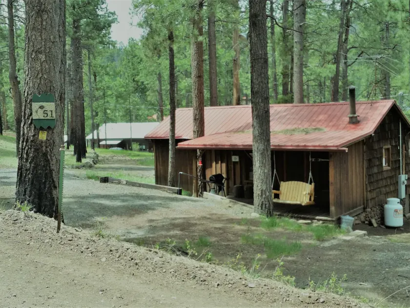 QUAINT COZY CABIN near East Fork, weekly and monthly rates, king bed, fireplace - Image 1
