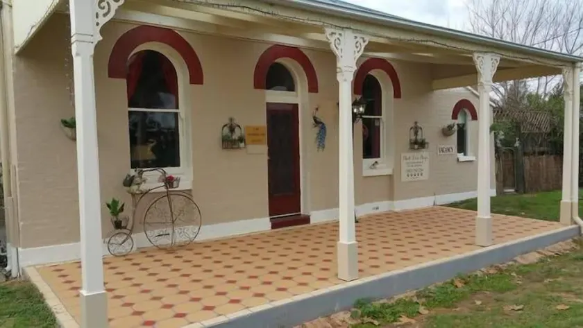 Debe amar a los perros B & B suite jardín - Image 1
