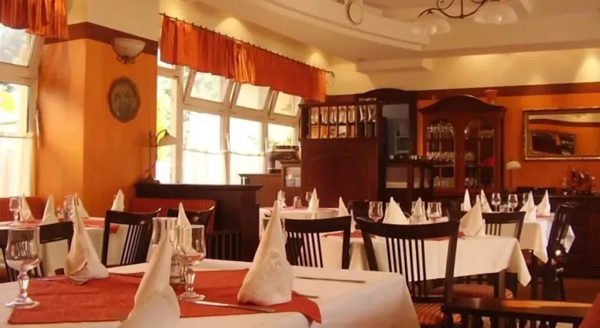 Tisza Alfa Hotel - Image 1