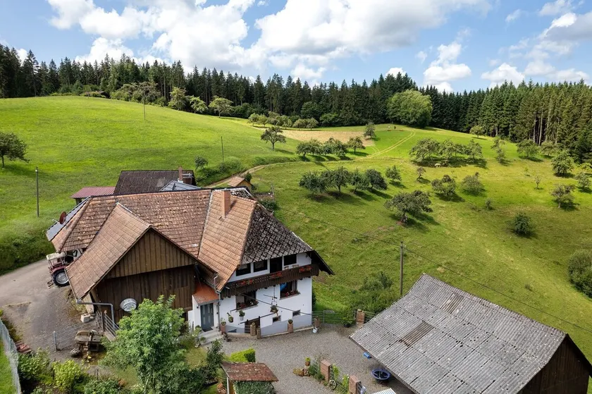Ferien auf der Fleischdielte - Image 1