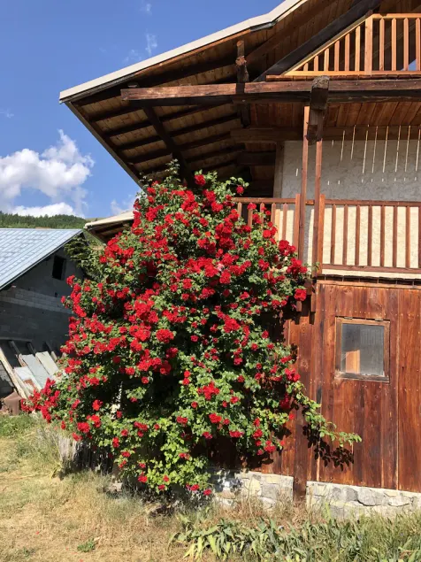 Maison D'altitude Poutres et Pierre Avec vue sur la Vallée! - Image 1