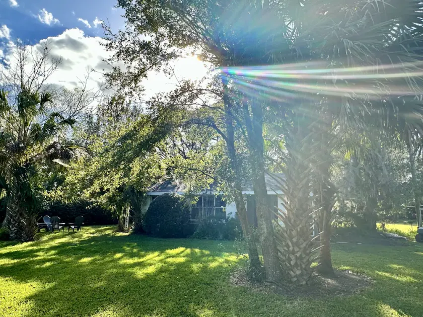 Scenic home surrounded by 1.25 acres of nature - Image 1