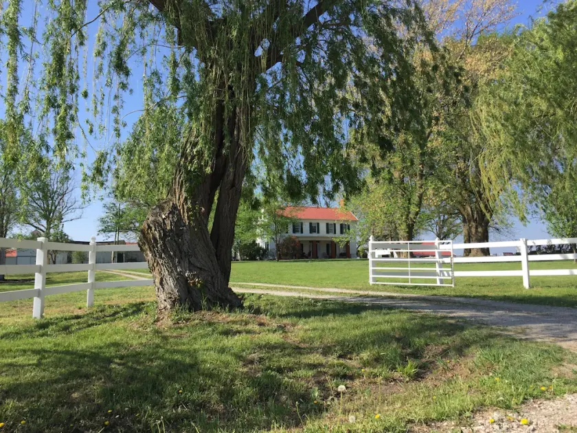 Kosy Grove:19th Century Antebellum Historic Home and Grounds - Image 1