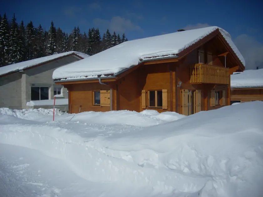 CHALET en BOIS  à PREMANOM - Image 1