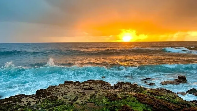 Super Clean~Ocean Front! Watch Whales & Dolphins while having your coffee - Image 1