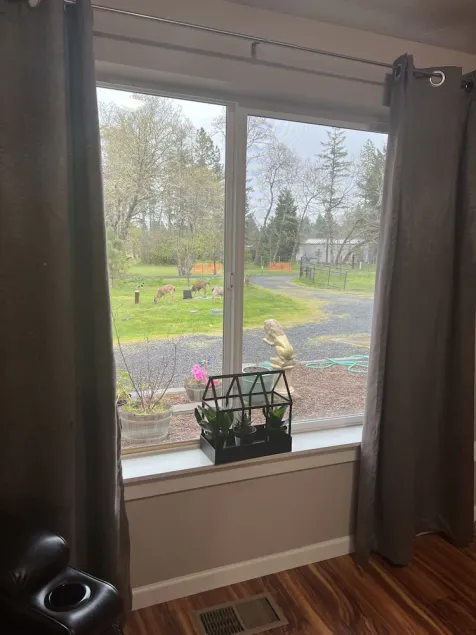 Beautiful and peaceful house in Veneta Oregon! - Image 1