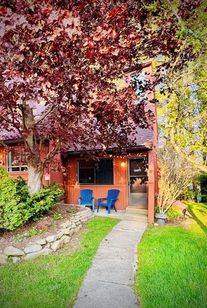 Charming Loft Cabin - Best Location Davis, Thomas, Canaan Valley. Cold AC - Image 1